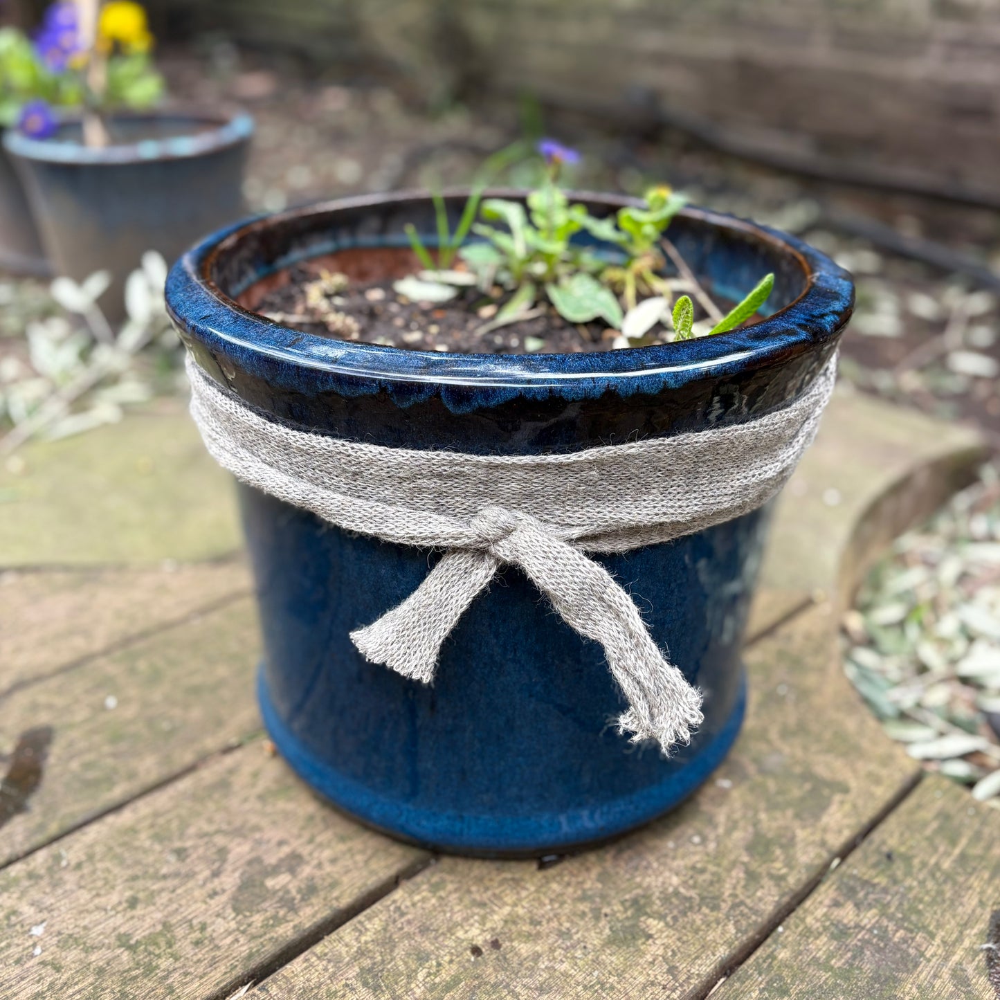 Wool Pot Scarf – Natural Snail & Slug Barrier (5m Roll, 100% British Wool)