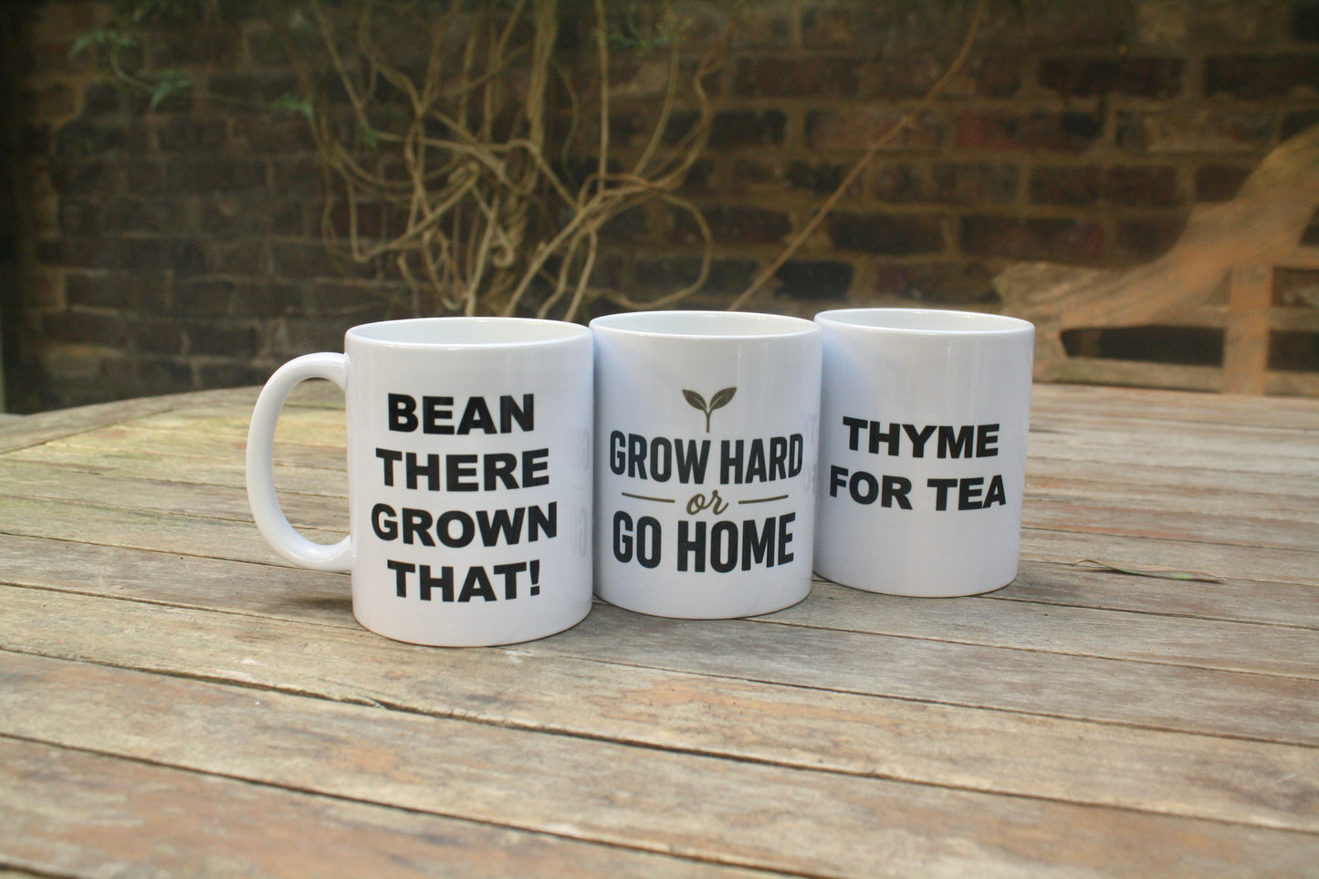 Bean There Grown That! - Mug and 10 Wool Pots