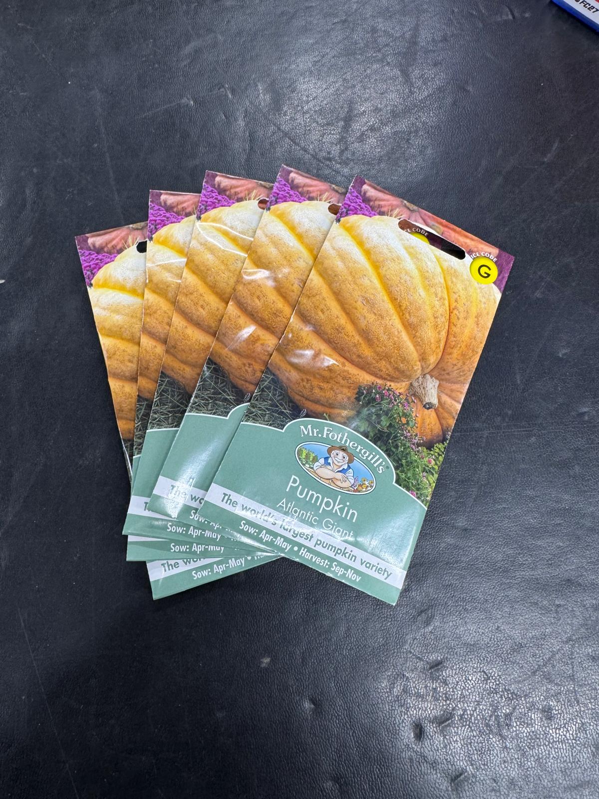 Mr Fothergill's Atlantic Giant pumpkin seeds