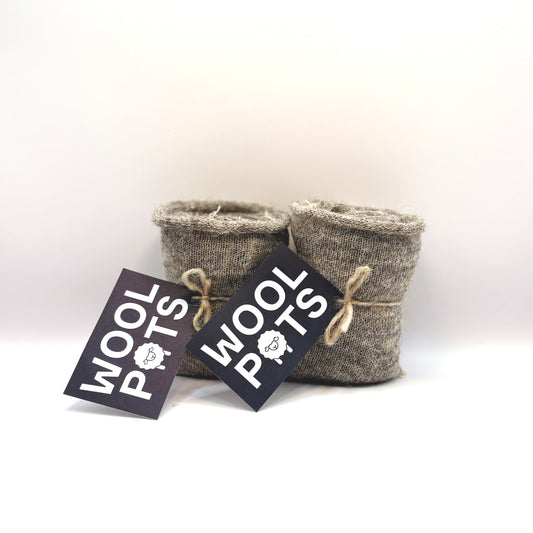 Pack Of 20 Small Wool Pots