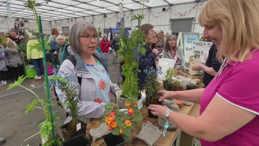 Load video: BBC Gardeners’ World Live 2024