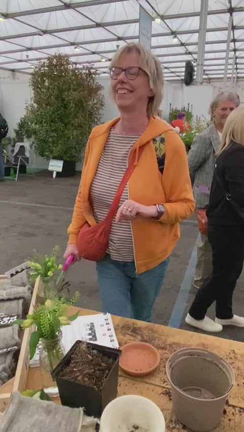 Load video: BBC Gardeners’ World Live 2024